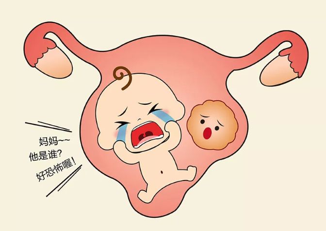 曾有3次以上连续自然流产史的患者再次妊娠后胚胎丢失率为40