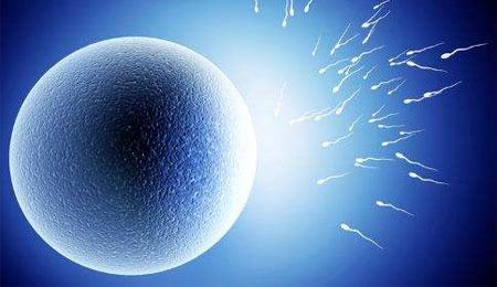 二代试管补救必须当天吗，取卵当天精子卵子不结合有方法插图
