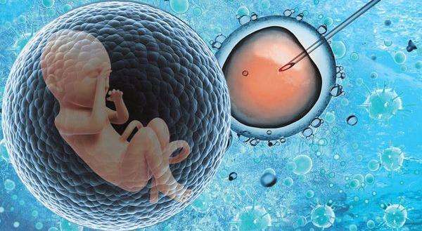 是否有可能在供卵助孕供卵试管中得到错误的精子，从而导致...