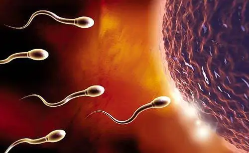 美国可以做试管婴儿精子吗